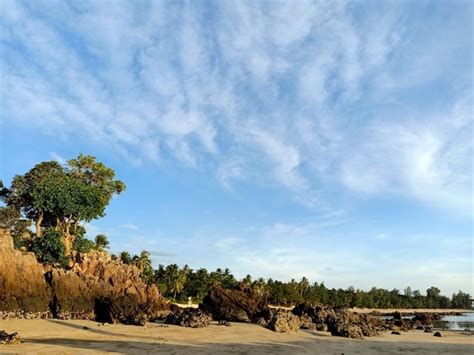 calanka somaliland images    freepik