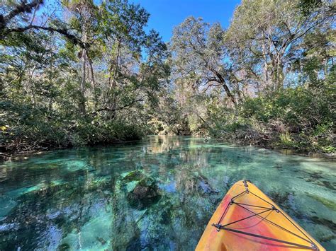 Environmentalists debate the witchee wachee springs water usage 3