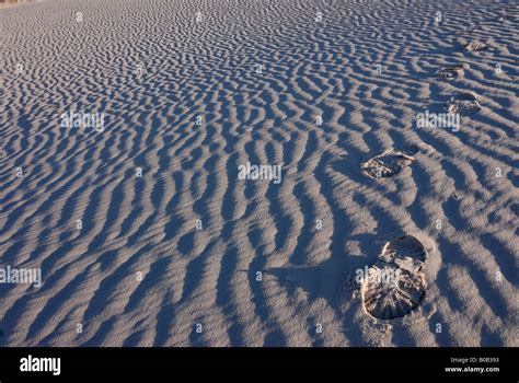 Footsteps In The Rippled Gypsum Sand Dunes In The White Sands National