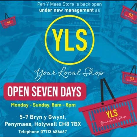 YLS logo - Holywell Town Council