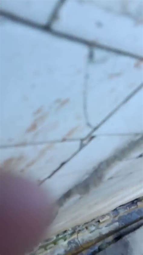 Robbie Vvmr18 8k On Twitter Owsme View Horny Lad Https T Co Xg5hwRXW9m Twitter