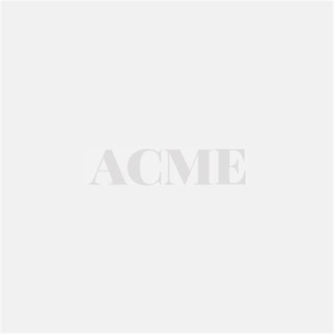 Acme Tug Boat Whistle 5365 Buy Whistles Online