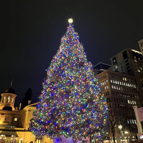 portland christmas tree