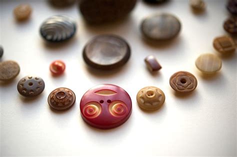 1920s Carved Vegetable Ivory Buttons Created With The Tropical Tagua