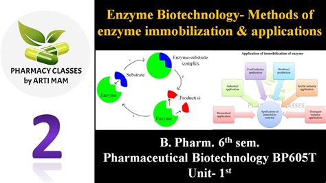 Enzyme Biotechnology Methods Of Enzyme Immobilization Application