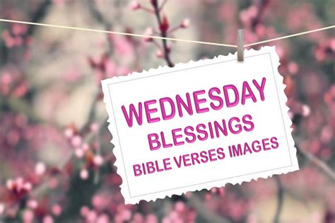 Ultimate Wednesday Image Collection Over 999 Stunning 4k Images