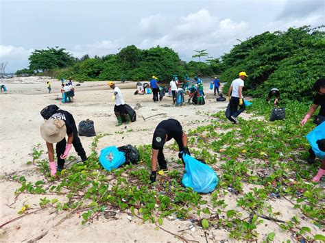 Pollution Plastique Le Hcecv Appelle Un Engagement V Ritable Des