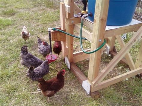 DIY Automatic Chicken Watering System - The Prepared Page