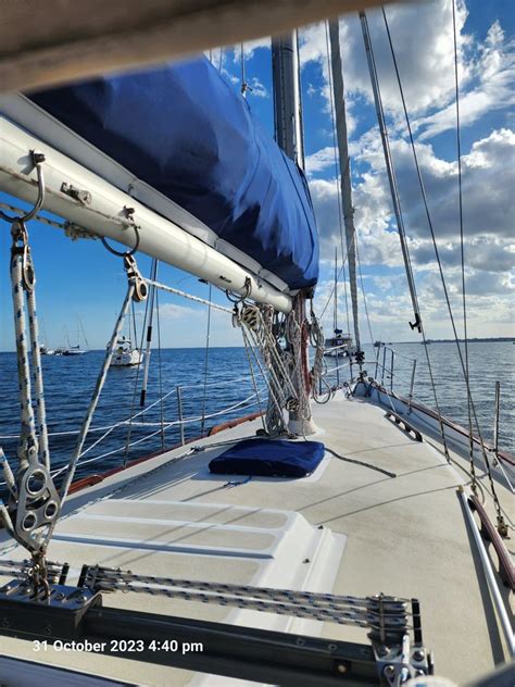 1979 Sailboat Morgan 382 For Sale In Miami Us Sailboats Catamarans