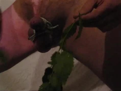 Bylting Hardcore Pain Gay Man Man Porn Xhamster