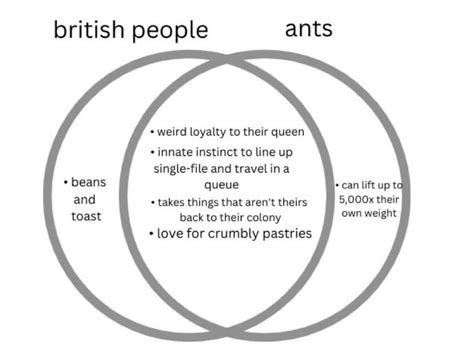 British People Vs Ants 9GAG