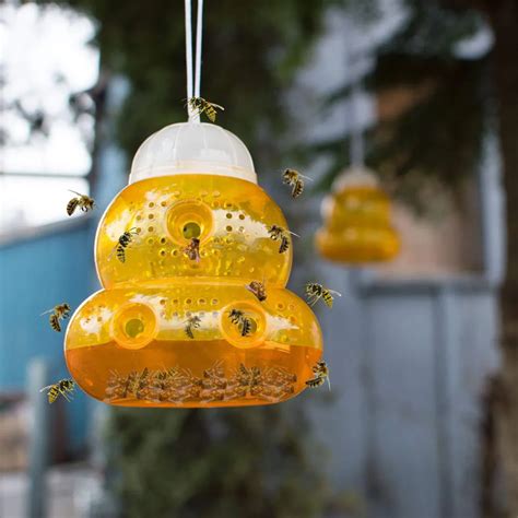 Wasp catcher Wasp Fly Flies Insects Hanging Trap Catcher Killer Outdoor ...