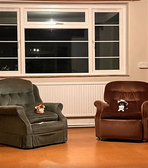 A Gif of Nikocado Avocado – dogecore