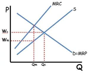 Monopsony Market Examples | Monopsony Power & Characteristics 2025