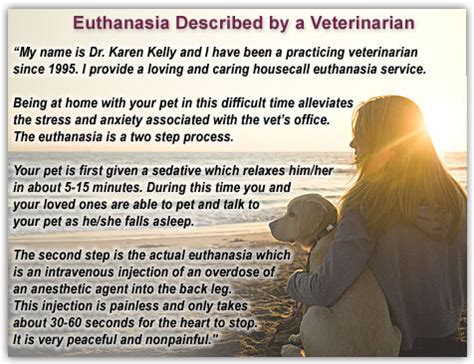 dog euthanasia    goodbye   dog dogica