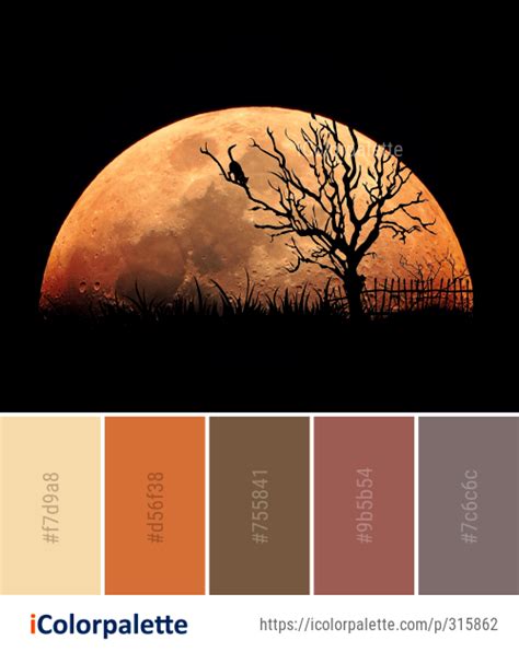 Moon Color Palette