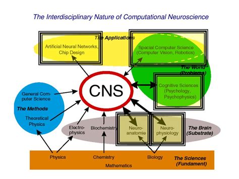 basics  computational neuroscience powerpoint