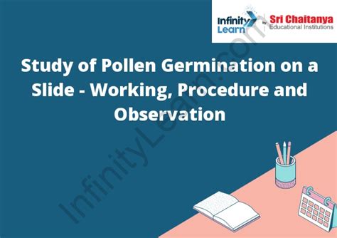 Study of Pollen Germination on a Slide - Working, Procedure and Observation - Infinity Learn by ...