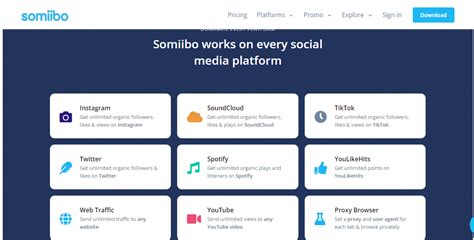 Somiibo Review – We USED It! Does It Work? *Read First*