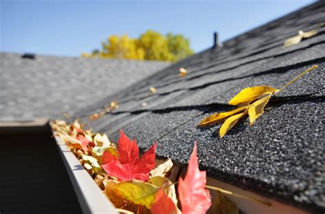 9 Roof Maintenance Tips Every Homeowner Should Know