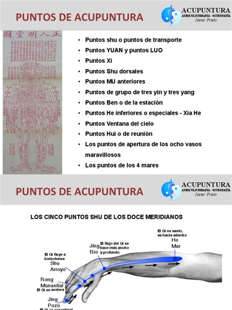 Puntos De Acupuntura Pdf Acupuntura Yin Y Yang