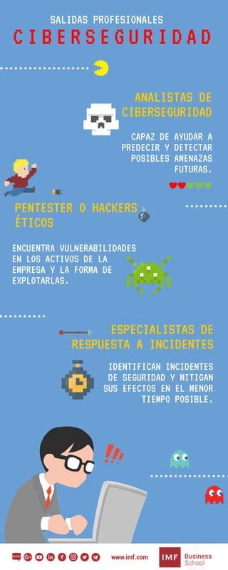 Salidas Profesionales En Ciberseguridad Pdf