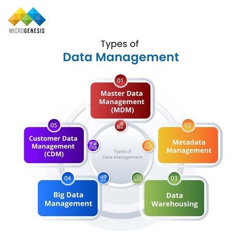 Comprehensive Guide to Data Management