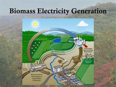 Ppt Biomass Electricity Powerpoint Presentation Free Download Id