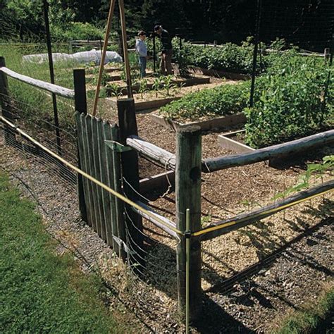 Deer-Proof Electric Fence - FineGardening | Deer proof, Electric fence ...