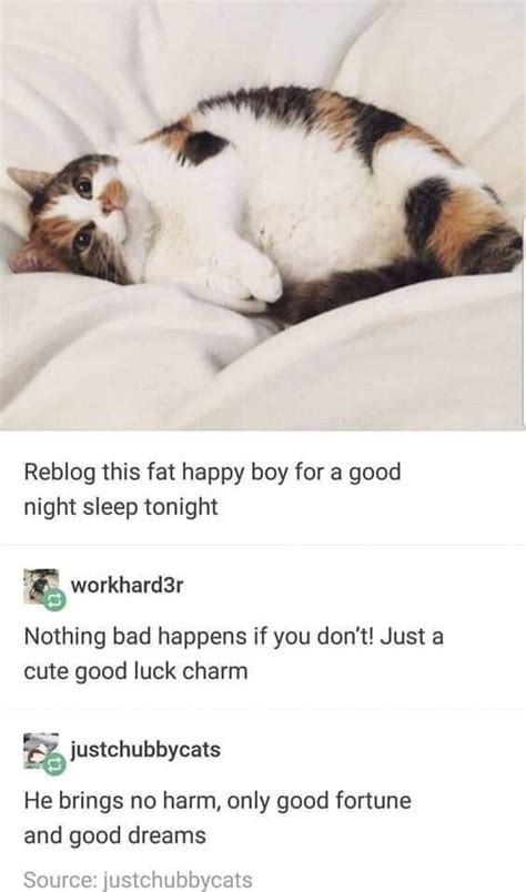 Goodnight : r/tumblr