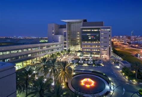 american hospital dubai projects  supplies lighting supplier
