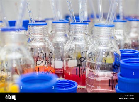Pipettes Hi Res Stock Photography And Images Alamy