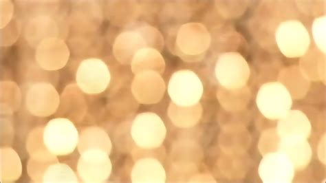 Japanese Bikini Idol