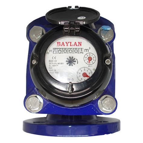 Счетчик холодной воды Ирыгационный для полива Baylan W-5і DN200 WOLTMAN ...