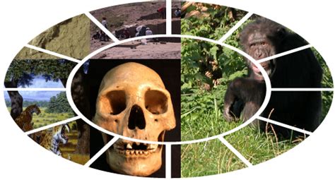 Evolutionary Anthropology Society | Anthropology Theory Project | Fandom