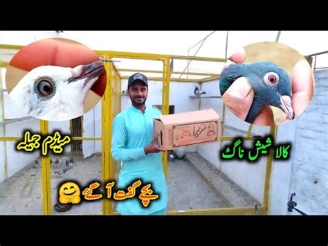 Bache Gift Aa Gay Youtube