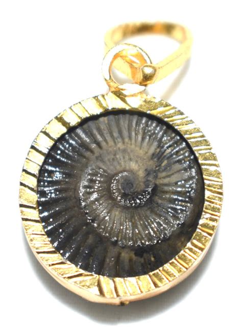 Sudarshan Shaligram Pendant Rudraksh Guru