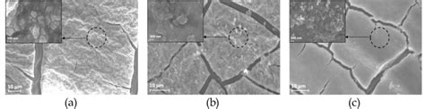 Sem Photos Of The Zno Layer Surface Coated With Variations In Rotation