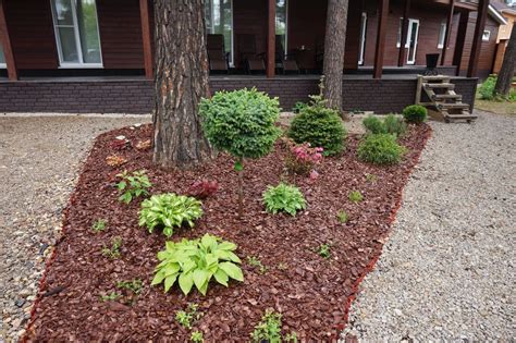 Клумбы с мульчей из коры - 77 фото