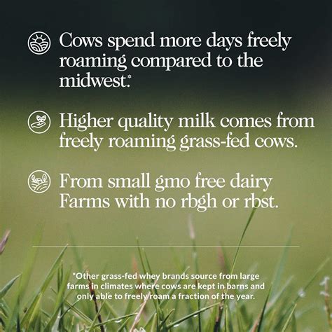 NAKED Chocolate Whey LB All Natural Grass Fed India Ubuy