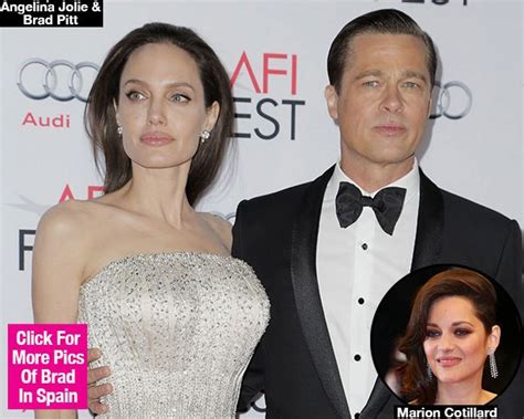 Brad Pitt And Angelina Jolies Reason For Divorce What Was The Final