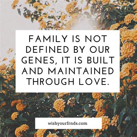 Best Family Quotes About Love and Why Family Is Important Quotes!