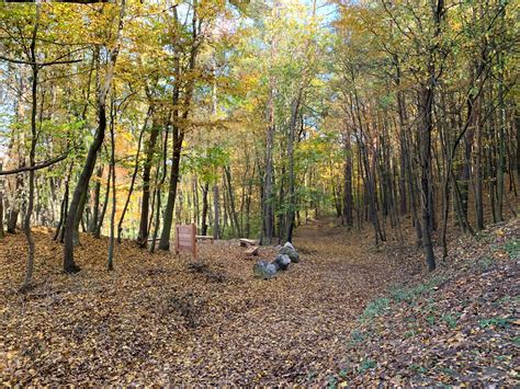 Klosterwald In Heiligenkreuz Nuovo Alternative Bestattung