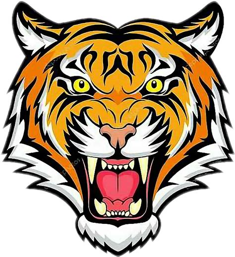 Download Tiger Head Png Tiger Face Transparent Background Png Image Images