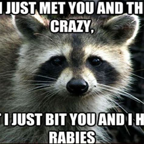 Gallery 15 Hilariously Inappropriate Animal Memes Complex