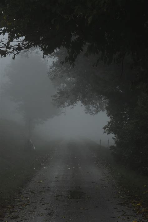 La Nebbia Po Delta Contest Concorso Fotografico