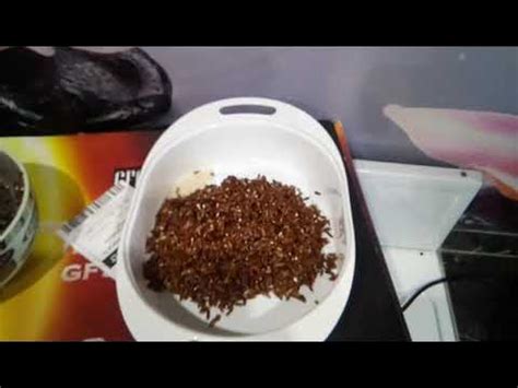 Пароварка электрическая GFgril GFS-7DSS - YouTube