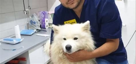 Obavijest Veterinarska Stanica Sema Vet D O O Prozor Rama Provodi