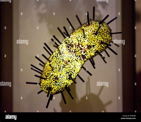 Black Death Plague High Resolution Stock Photography And Images Alamy