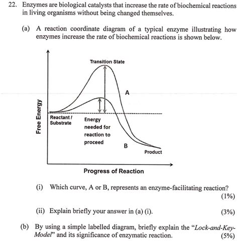 SOLVED: 22 Enzymes are biological catalysts that increase the rate of ...